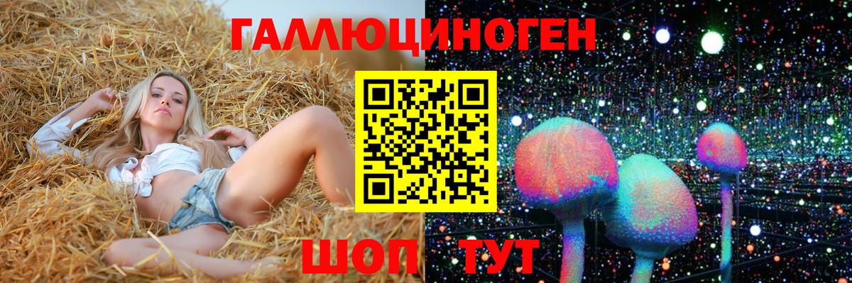 Галлюциногенные грибы мицелий  Псилоцибиновые грибы Psilocybine cubensis  Коммунар  Вход с VPN 
