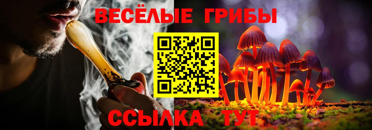 Галлюциногенные грибы Psilocybine cubensis Коммунар